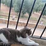 Photo taken by destiney y