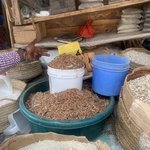 Photo taken by Kristin M