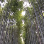 Photo taken by Debbie G