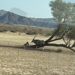 Photo taken by Nigel R