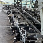 Photo taken by Edit M