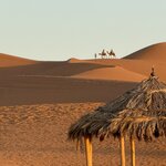 Photo taken by Pam L