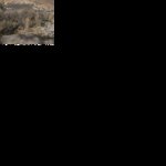 Photo taken by M. Javaid Y