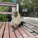 Photo taken by Kayla H