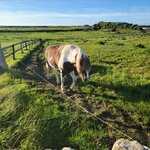 Photo taken by Kerrick M