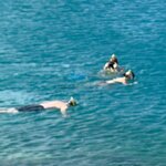 Photo taken by Don M