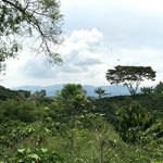 Vista from Finca Casa Vieja | Photo taken by Sophie E