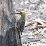 Photo taken by Graeme W