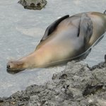 Photo taken by Steven M