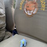 Photo taken by Dee M