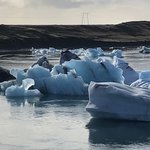 Photo taken by Josephine M