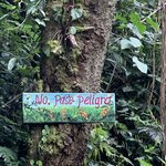 Photo taken by Luke T