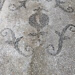 Photo taken by Tom K