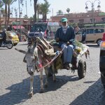 Photo taken by Paula H