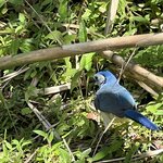 Photo taken by Charles H