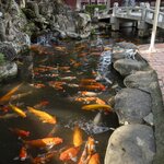 Photo taken by John Mark W