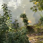 Photo taken by Adrian D