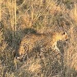 Photo taken by Joanne B