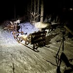 Photo taken by Christa C