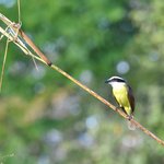 Photo taken by Graeme W