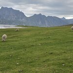 Photo taken by anne b