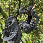 Photo taken by rebecca t