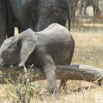 Photo taken by Kristin M