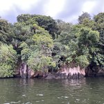 Photo taken by Harsha P