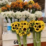 Photo taken by Barbara V