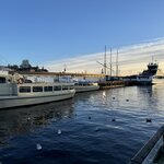 Photo taken by Pratima S