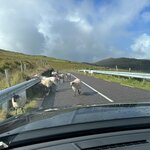 Photo taken by Kerrick M