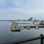 Photo taken by Mary Sue H