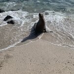 Photo taken by Stephanie A