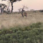 Photo taken by Joanne B