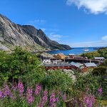 Photo taken by Dani L