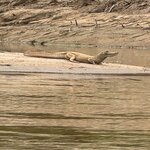 Photo taken by Insiyah K