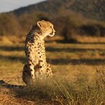 Photo taken by Joaquin M