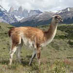 Photo taken by Marcia R