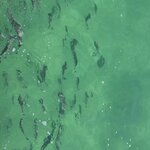 Photo taken by Gina L