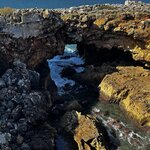 Photo taken by Dee C