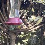 Photo taken by Vicki Lynn M