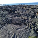 Photo taken by Richard P