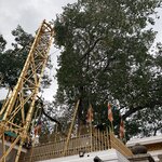 Photo taken by Anisha L