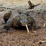 Photo taken by Nancy P