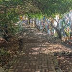 Photo taken by mimi s