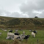 Photo taken by Jessee H