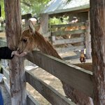 Photo taken by Greg L