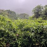 Photo taken by Chris G