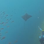 Photo taken by Ben S