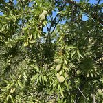 Photo taken by Lisa B